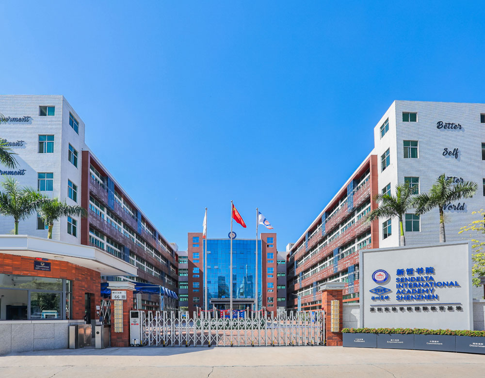 首页简介填写